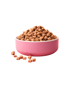 Moomin For Pets Food Bowl